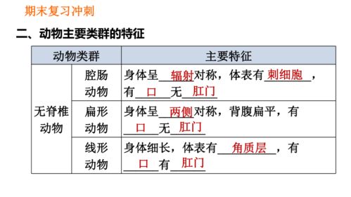 其他动物的它怎么组词