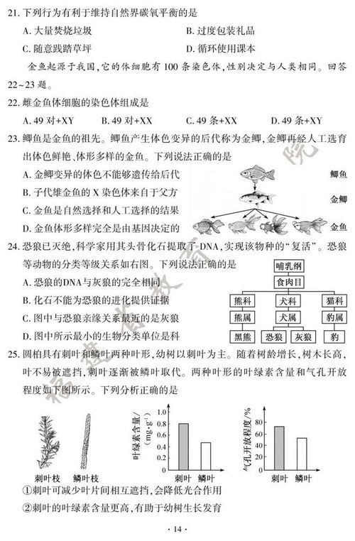 其他动物的它怎么组词