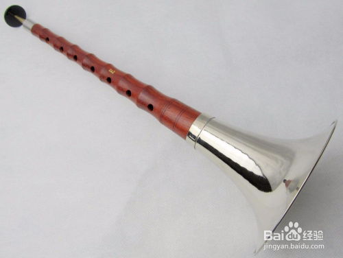 唢呐的唢怎么组词