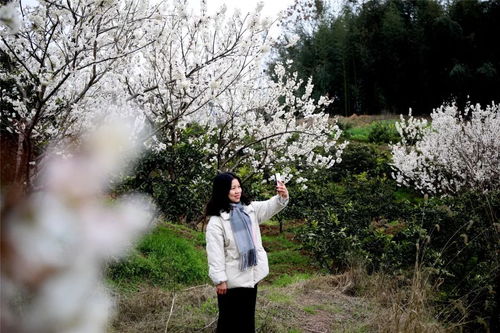 游客是怎么组词的呢 游客是怎么组词的呢