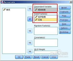随机的怎么组词