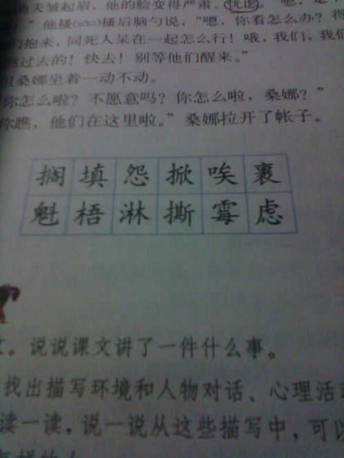 崇敬怎么组词语