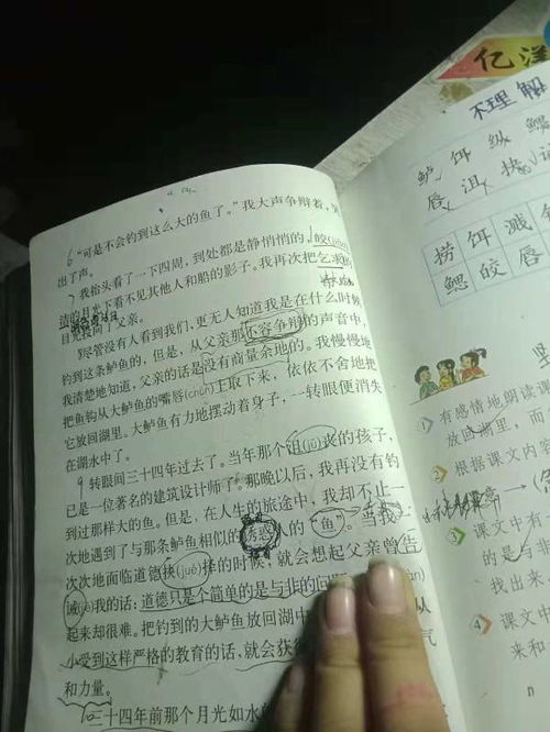 露天怎么组词 露天怎么组词