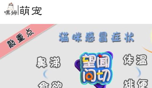 呛鼻子的呛怎么组词