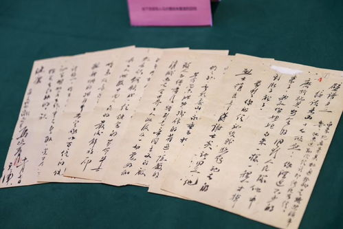 莲莲的莲怎么组词