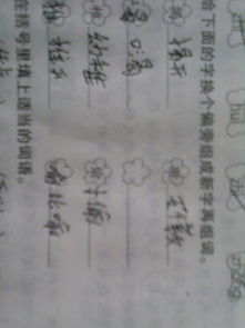 尔怎么变新字再组词