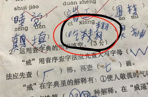 媳妇儿的奇怎么组词 媳妇儿的奇怎么组词