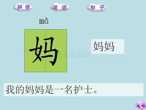 趣味是怎么组词