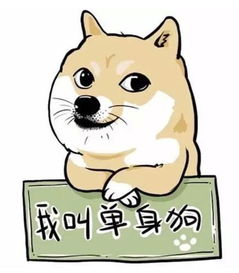 又又来了又怎么组词