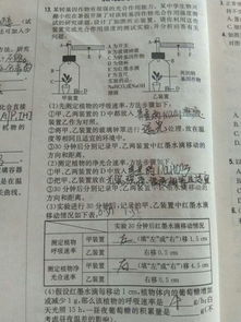 教分开右侧怎么组词