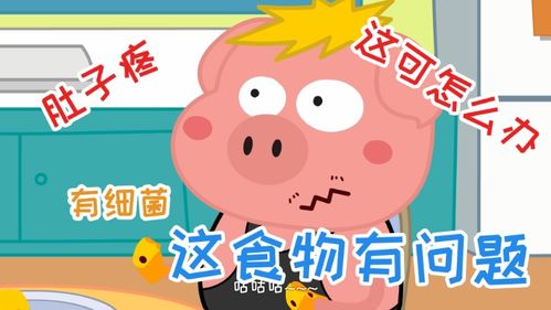 猪东西的猪怎么组词 猪东西的猪怎么组词