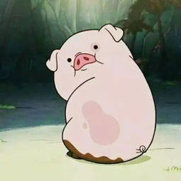 猪东西的猪怎么组词 猪东西的猪怎么组词