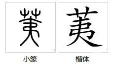 褐组词怎么读