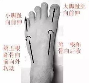 脚趾头怎么组词呀