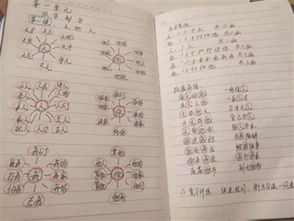 度传怎么组词