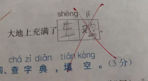 曼子的慢怎么组词