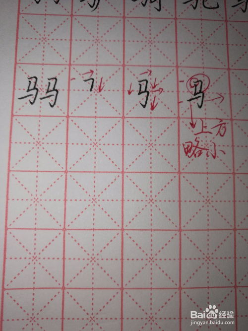 草字旁的路怎么组词啊 草字旁的路怎么组词啊