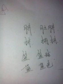 熊变新字再组词怎么写