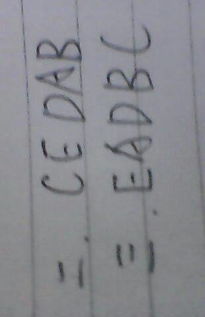 搭配的配怎么组词怎么写