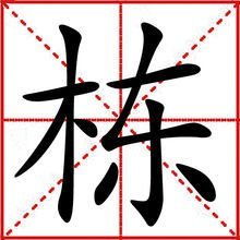 栋的组词怎么煮
