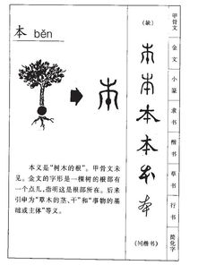 本子组词