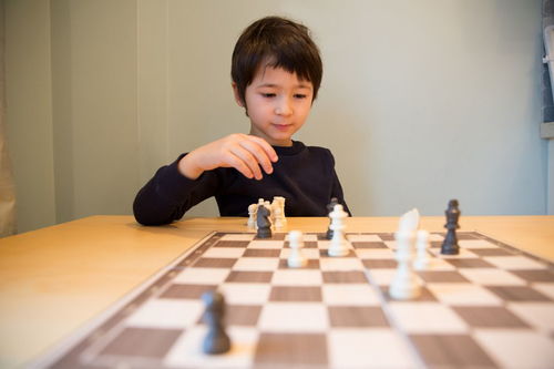 怎么组词棋