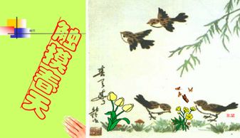 宋耕触怎么组词