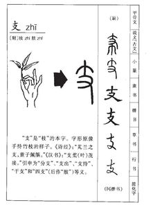 支加偏旁再组词