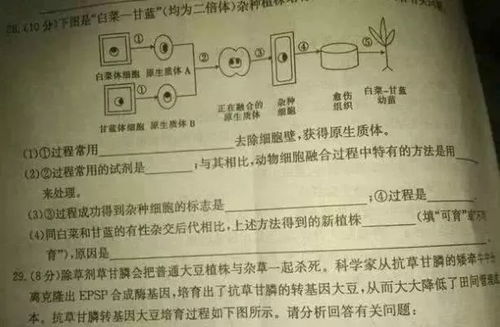 赶快赶怎么组词