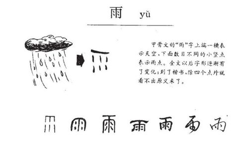 葱郁的雨该怎么组词