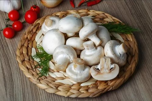 口蘑的蘑怎么组词 口蘑的蘑怎么组词