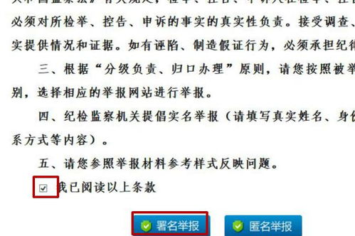 蜘蛛网络王怎么组词