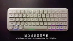 打字组词有哪些