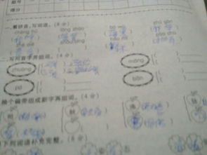 描写的苗苗怎么组词