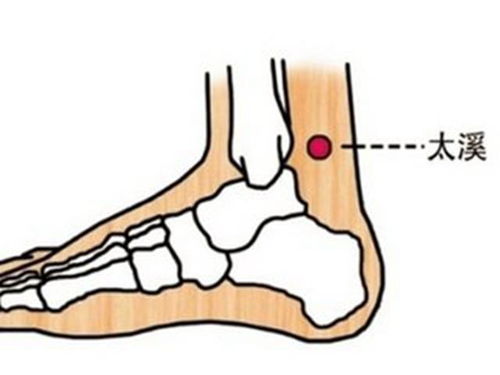 小度拇指的拇怎么组词