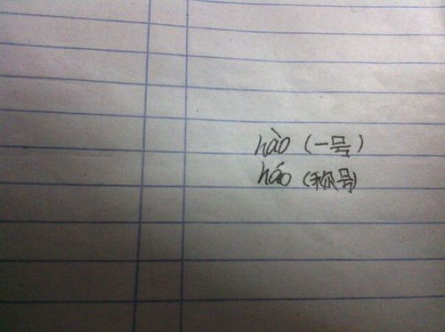 向日可以怎么组词