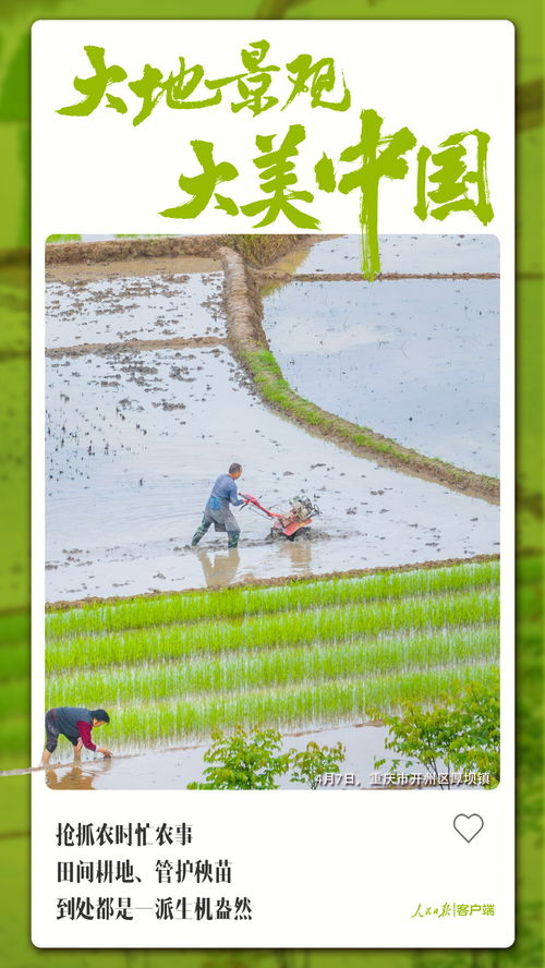 土地图怎么组词 土地图怎么组词