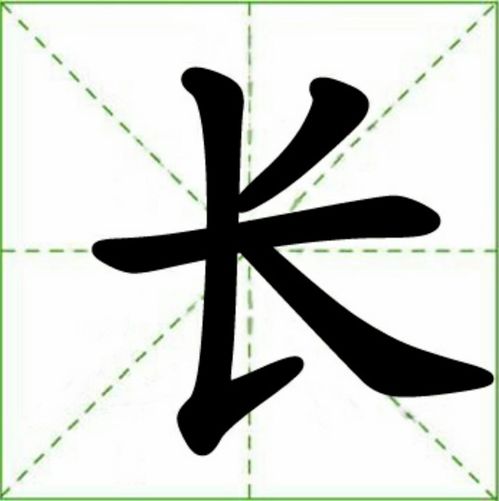 长可以组词什么