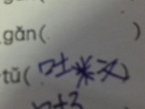 杜兆字怎么组词