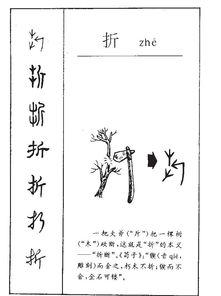 怎么折的折怎么组词