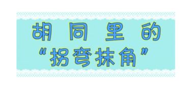 度度可怎么组词