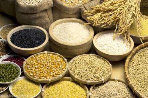 膳怎么组美食组词 膳怎么组美食组词