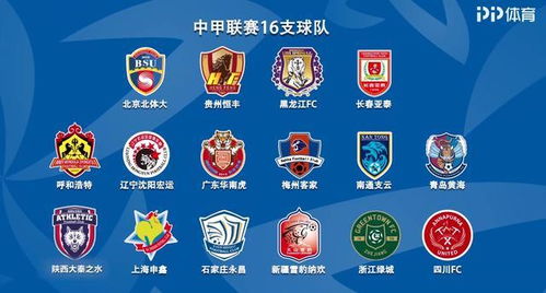 中甲的中怎么组词