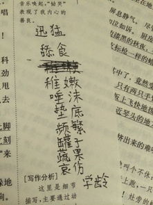 抖拼音怎么组词和部首