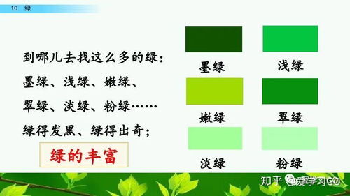 一什么绿可以怎么组词 一什么绿可以怎么组词