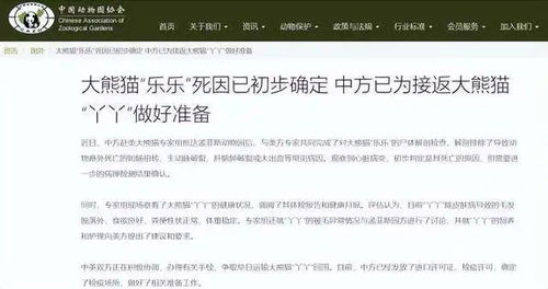 乐观乐乐怎么组词