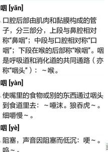 怎么组词语咽 怎么组词语咽