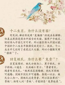 请问姑娘的问怎么组词 请问姑娘的问怎么组词