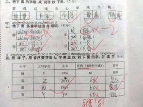 完成的玩可以怎么组词