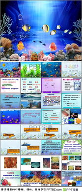 介绍的世界怎么组词 介绍的世界怎么组词